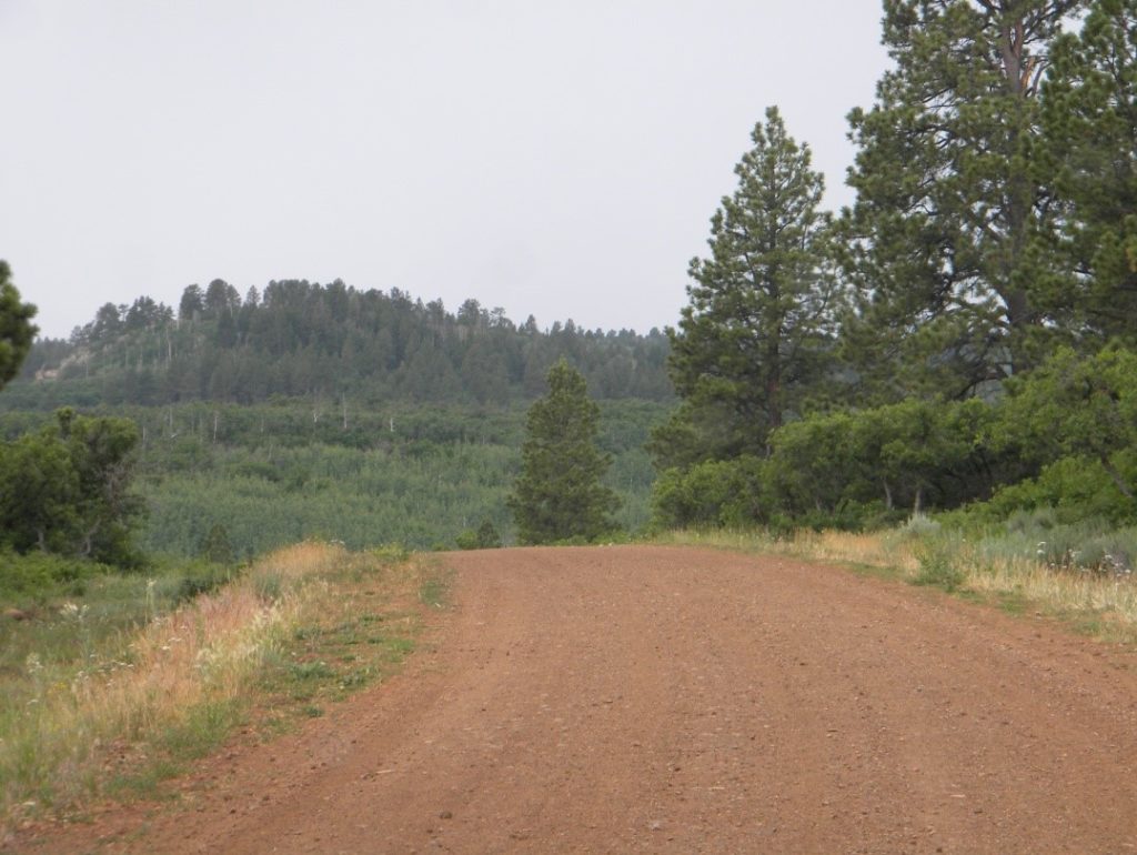 Dusty Road