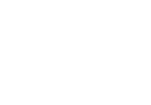 Rimrocker Trail logo
