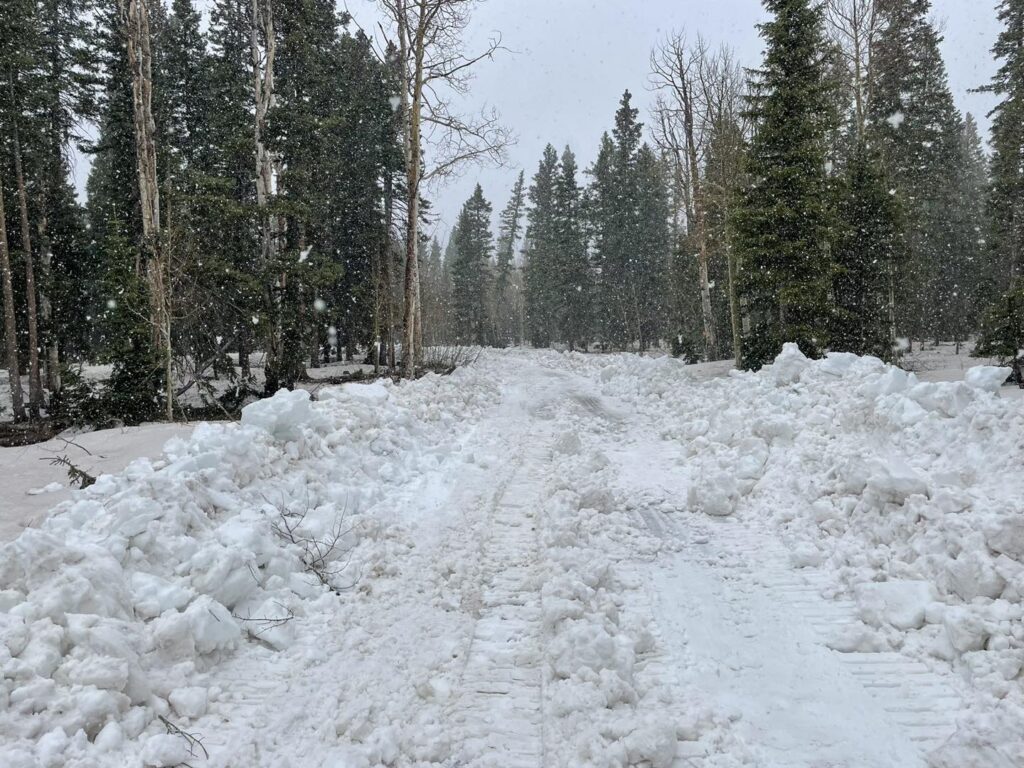 Picture of snow on the rimrocker trail