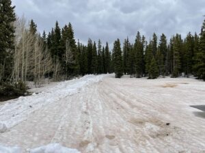 Picture of snow on the rimrocker trail
