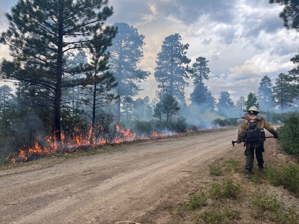 Bucktail Fire Fire Fighter walking along road with flames