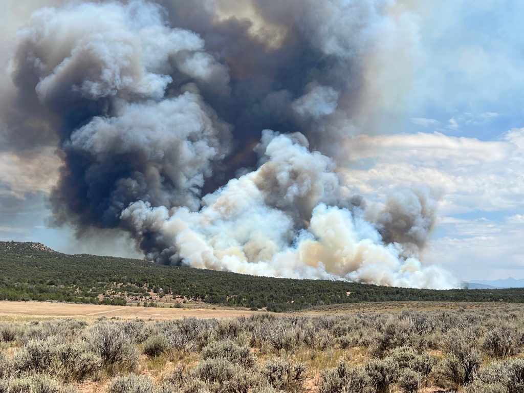 Smoke plumes in distance